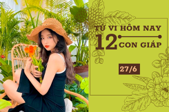 Tử vi hàng ngày hôm nay 27/6 của 12 con giáp: Thìn tránh tiêu cực, Dậu may mắn trong công việc