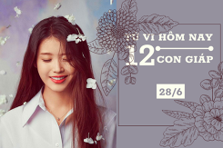 Tử vi hàng ngày hôm nay 28/6 của 12 con giáp: Sửu cần sự hỗ trợ từ đồng nghiệp, Thìn tài lộc dồi dào