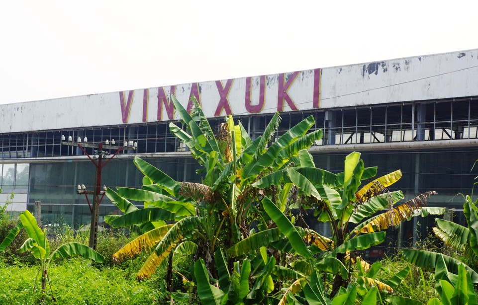 Thanh Hóa thu hồi nốt 45 ha đất của Vinaxuki tại Hậu Lộc - Ảnh 1.