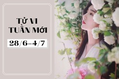 Tử vi tuần mới của 12 con giáp, 12 cung hoàng đạo (28/6-4/7): Tuổi Mão có nhiều tài lộc, công việc Thiên Bình gặp nhiều may mắn