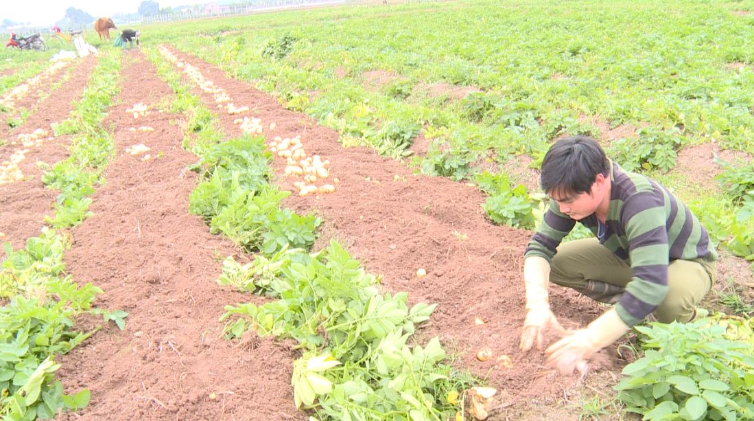 Kế hoạch sử dụng đất xã Thọ Lộc, Phúc Thọ, Hà Nội năm 2021 - Ảnh 1. Kế hoạch sử dụng đất xã Thọ Lộc, Phúc Thọ, Hà Nội năm 2021 - Ảnh 1.