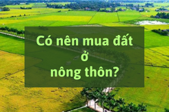 Có nên mua đất ở nông thôn hay không?