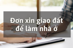 Tham khảo mẫu đơn xin giao đất để làm nhà ở dành cho hộ gia đình, cá nhân mới nhất