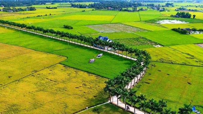 Có nên mua đất ở nông thôn hay không? - Ảnh 1. Có nên mua đất ở nông thôn hay không? - Ảnh 1.