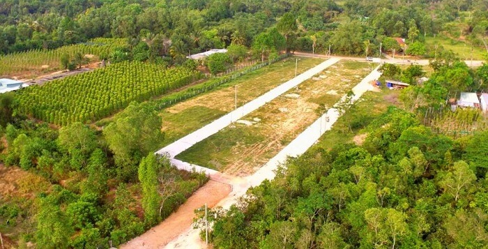 Chia sẻ kinh nghiệm mua đất trồng cây lâu năm mà bạn nên biết - Ảnh 4. Chia sẻ kinh nghiệm mua đất trồng cây lâu năm mà bạn nên biết - Ảnh 4.
