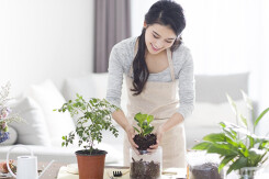 Bảo vệ sức khỏe mùa COVID qua 7 việc làm đơn giản tại nhà