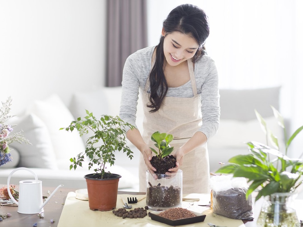 Bảo vệ sức khỏe mùa COVID qua 7 việc làm đơn giản tại nhà - Ảnh 7. Bảo vệ sức khỏe mùa COVID qua 7 việc làm đơn giản tại nhà - Ảnh 7.