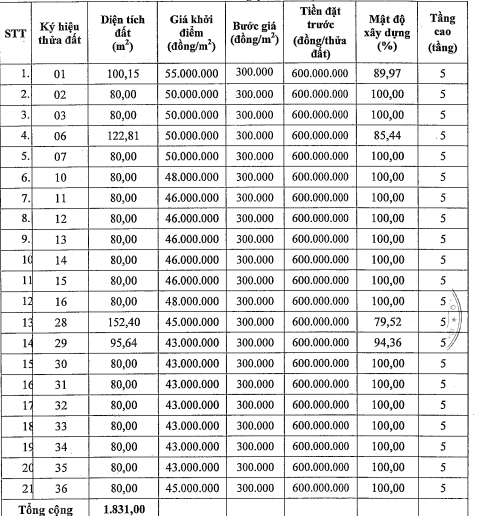 Đông Anh, Hà Nội đấu giá 21 thửa đất tại xã Mai Lâm, khởi điểm từ 43 triệu đồng/m2 - Ảnh 1. Đông Anh, Hà Nội đấu giá 21 thửa đất tại xã Mai Lâm, khởi điểm từ 43 triệu đồng/m2 - Ảnh 1.