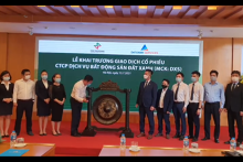 Cổ phiếu DXS của Đất Xanh Services giảm sâu ngày chào sàn, NĐT thua lỗ khi mua IPO