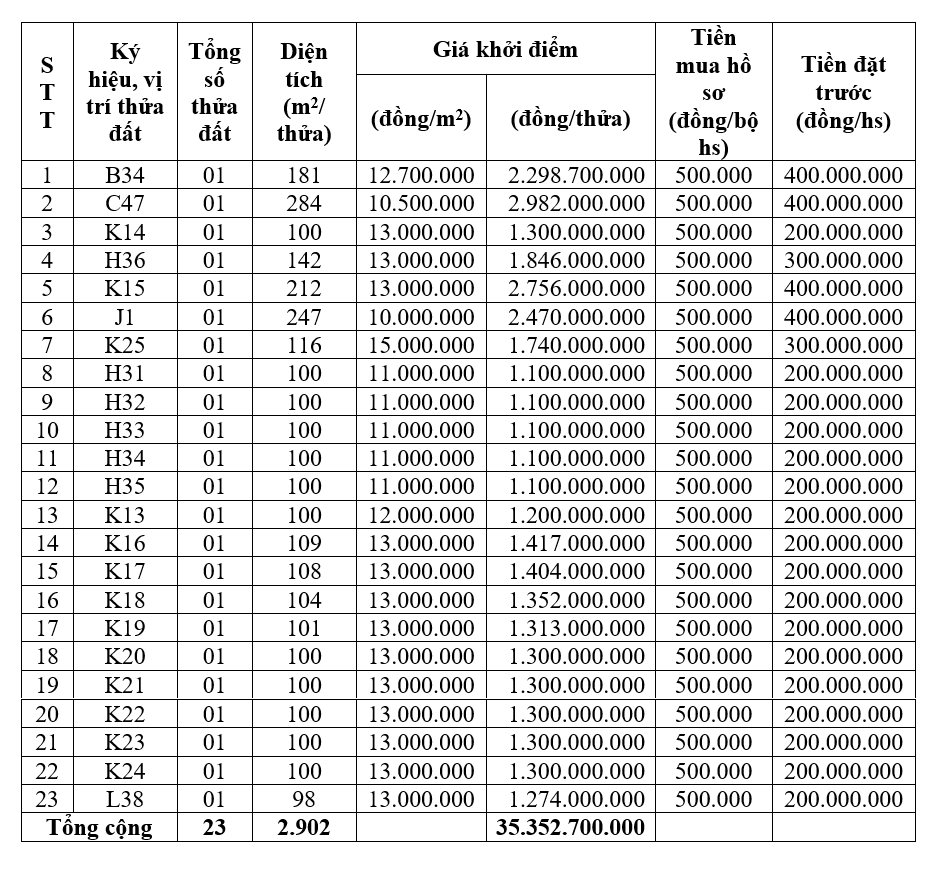 Vĩnh Phúc đấu giá 23 lô đất tại Tam Dương, khởi điểm từ 10,5 triệu đồng/lô - Ảnh 1. Vĩnh Phúc đấu giá 23 lô đất tại Tam Dương, khởi điểm từ 10,5 triệu đồng/lô - Ảnh 1.