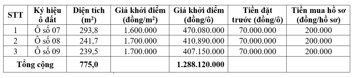 Tam Nông, Phú Thọ sắp đấu giá 47 lô đất, khởi điểm từ 1,6 triệu đồng/m2 - Ảnh 2.