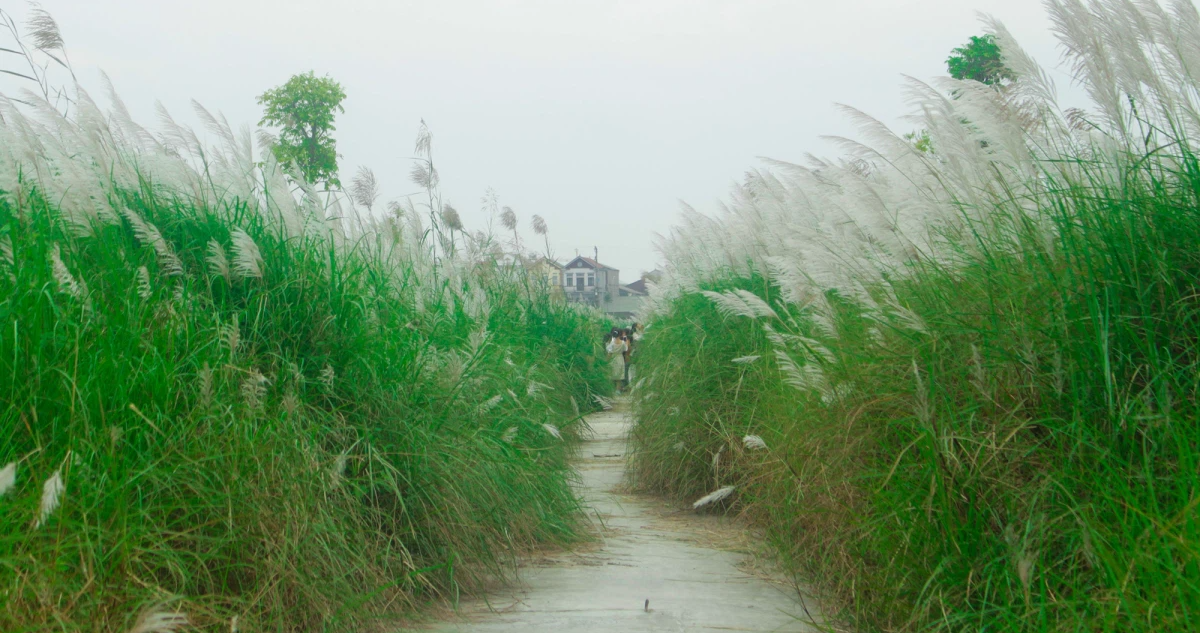 Kế hoạch sử dụng đất xã Liên Hà, Đan Phượng, Hà Nội năm 2021 - Ảnh 1. Kế hoạch sử dụng đất xã Liên Hà, Đan Phượng, Hà Nội năm 2021 - Ảnh 1.