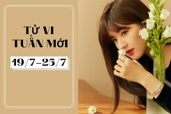 Tử vi tuần mới của 12 con giáp, 12 cung hoàng đạo (19/7-25/7): Tuổi Hợi sự nghiệp và tài lộc đều vượng, Bọ Cạp tài chính ổn định
