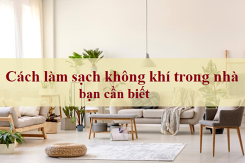 Gợi ý 5 cách làm sạch không khí trong nhà đơn giản, hiệu quả cao