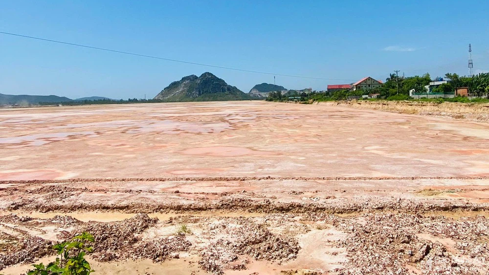 Nghệ An giao 129 ha đất cho Hoàng Thịnh Đạt làm khu công nghiệp - Ảnh 1.