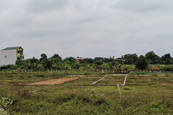 Thủ tướng cho phép Tiền Giang chuyển gần 30 ha đất trồng lúa sang đất phi nông nghiệp