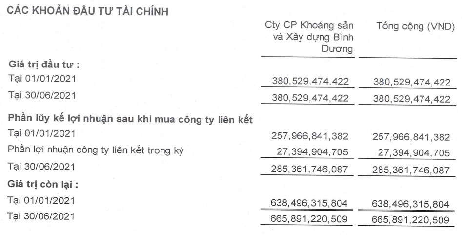 DRH HODINGS Lợi nhuận 6 tháng đầu năm 2021 sụt giảm 84% so với cùng kỳ năm ngoái - Ảnh 5.