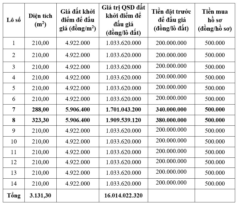 Thanh Hóa sắp đấu giá 14 lô đất khởi điểm 4,9 triệu đồng/m2 tại huyện Cẩm Thủy  - Ảnh 1.
