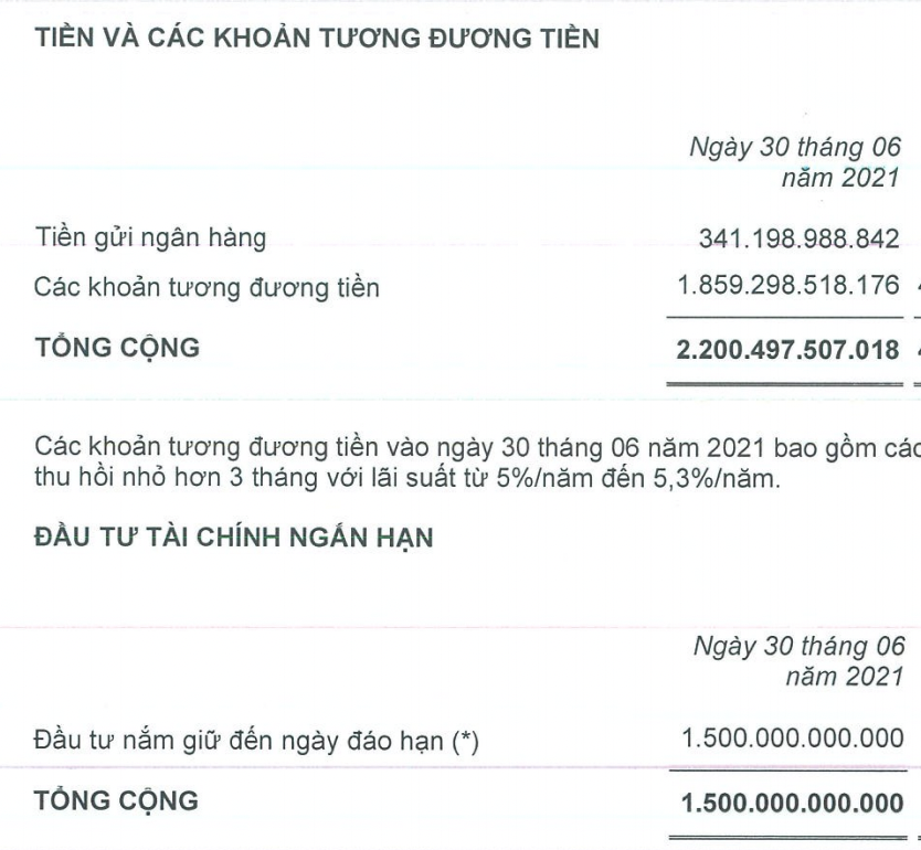 Chủ Trung tâm triển lãm Giảng Võ (VEF) báo lãi kỷ lục, có 3.700 tỷ đồng gửi ngân hàng - Ảnh 3.