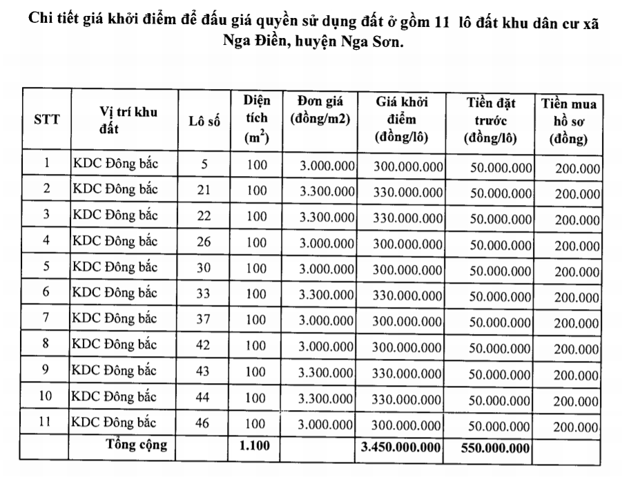 Thanh Hóa đấu giá 33 lô đất tại Nga Sơn, khởi điểm từ 3 triệu đồng/m2 - Ảnh 2. Thanh Hóa đấu giá 33 lô đất tại Nga Sơn, khởi điểm từ 3 triệu đồng/m2 - Ảnh 2.
