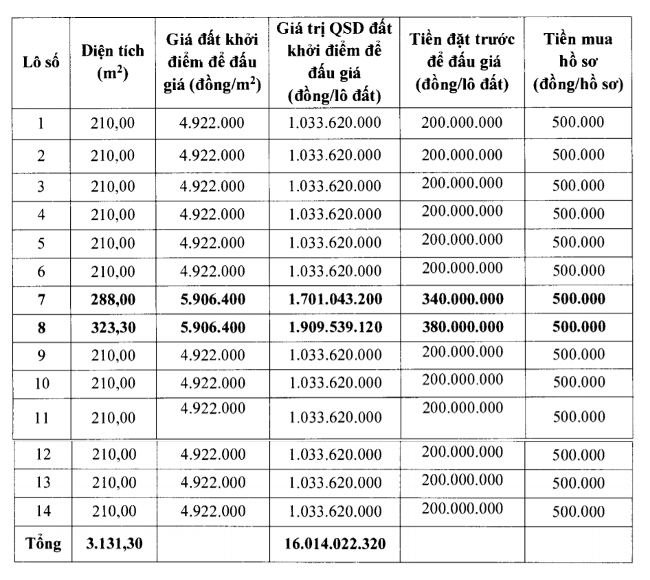 Cẩm Thủy, Thanh Hóa sắp đấu giá 56 lô đất ở, khởi điểm từ 950 nghìn đồng/m2 - Ảnh 2.