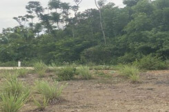 Kế hoạch sử dụng đất xã Phú Lâm, Tân Phú, Đồng Nai năm 2021