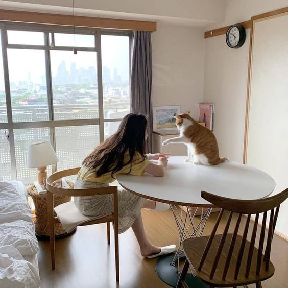 Tử vi hàng ngày hôm nay 28/7 của 12 con giáp: Thìn cẩn thận tiểu nhân hãm hại, Thân tài lộc dồi dào - Ảnh 1. Tử vi hàng ngày hôm nay 28/7 của 12 con giáp: Thìn cẩn thận tiểu nhân hãm hại, Thân tài lộc dồi dào - Ảnh 1.