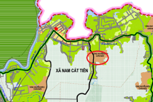 Đất có quy hoạch ở xã Nam Cát Tiên, huyện Tân Phú, tỉnh Đồng Nai