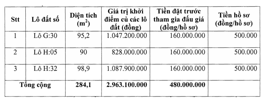 Thanh Hóa sắp đấu giá 12 lô đất tại Triệu Sơn, khởi điểm 650 triệu đồng/lô - Ảnh 3. Thanh Hóa sắp đấu giá 12 lô đất tại Triệu Sơn, khởi điểm 650 triệu đồng/lô - Ảnh 3.
