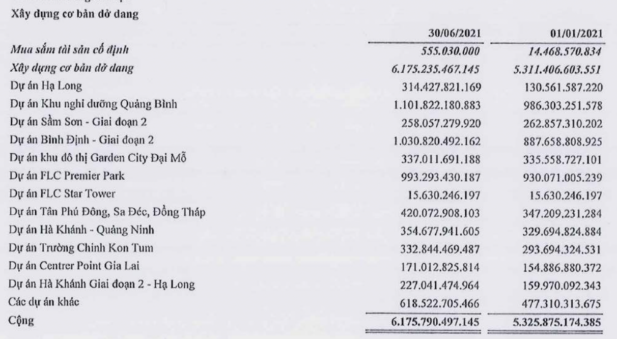 Tập đoàn FLC báo lãi 65 tỷ đồng sau nửa năm, đầu tư thêm trăm tỷ vào chứng khoán - Ảnh 3. Tập đoàn FLC báo lãi 65 tỷ đồng sau nửa năm, đầu tư thêm trăm tỷ vào chứng khoán - Ảnh 3.