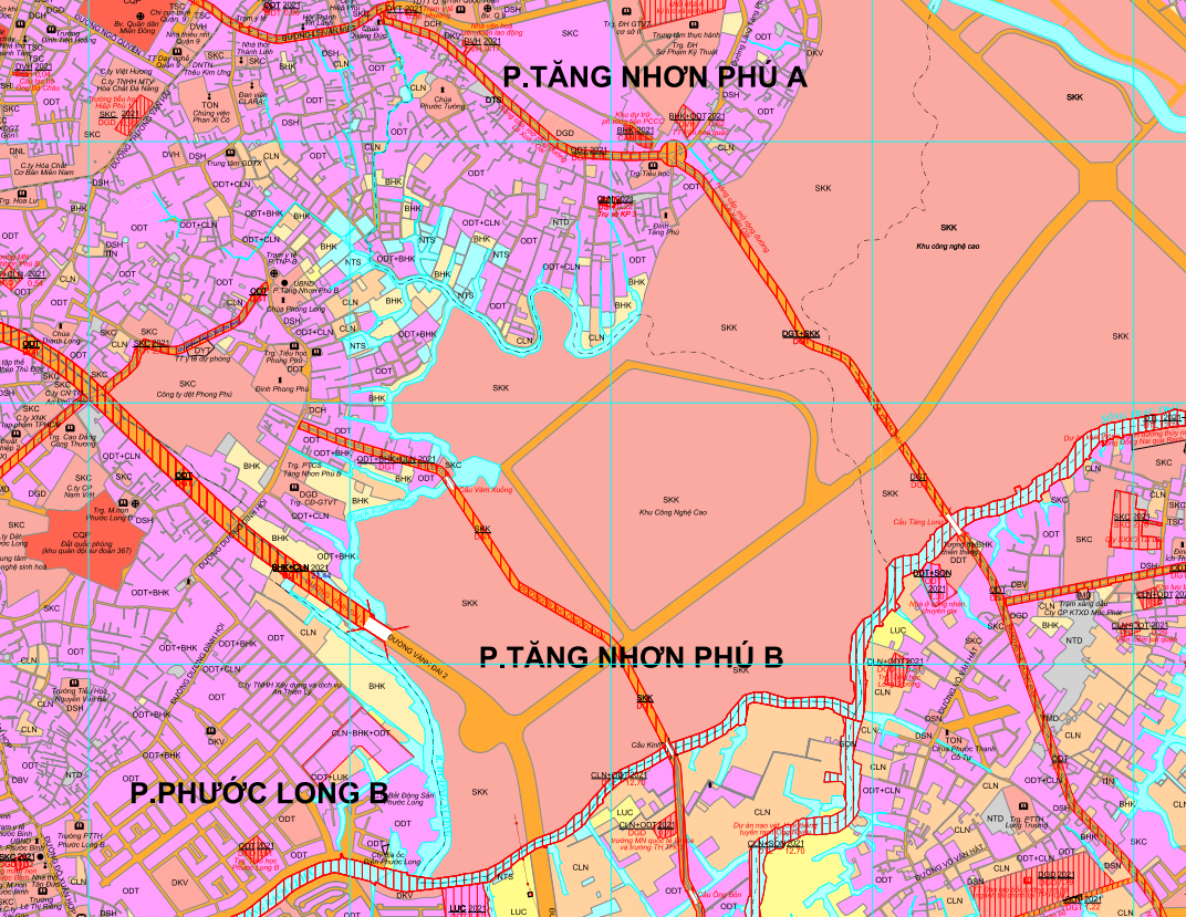 Kế hoạch sử dụng đất phường Tăng Nhơn Phú B, quận 9, TP Thủ Đức - Ảnh 2.