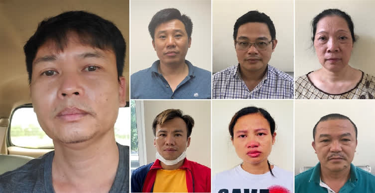 Nhiều cây xanh trồng ở Hà Nội được nhập lậu từ Trung Quốc - Ảnh 1.