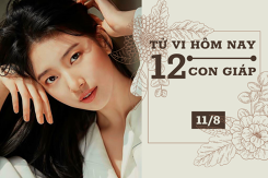 Tử vi hàng ngày hôm nay 11/8 của 12 con giáp: Mão tình duyên tươi sáng, Mùi hùm hạp mới thành công