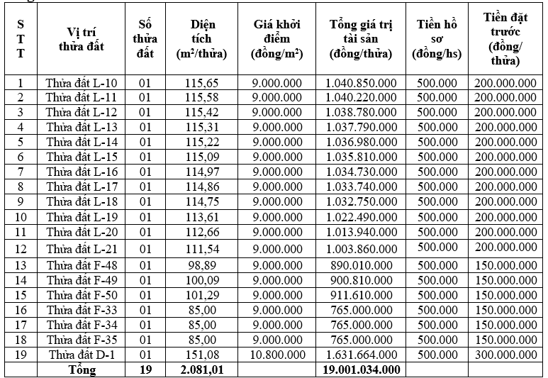 Vĩnh Phúc sắp đấu giá 19 thửa đất, khởi điểm từ 765 triệu đồng/thửa tại TP Phúc Yên - Ảnh 1. Vĩnh Phúc sắp đấu giá 19 thửa đất, khởi điểm từ 765 triệu đồng/thửa tại TP Phúc Yên - Ảnh 1.