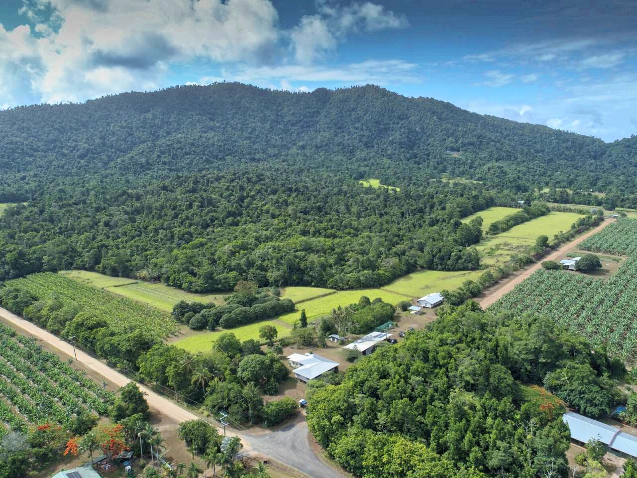 Giá đất farm ở Việt Nam có thực sự rẻ? - Ảnh 3.