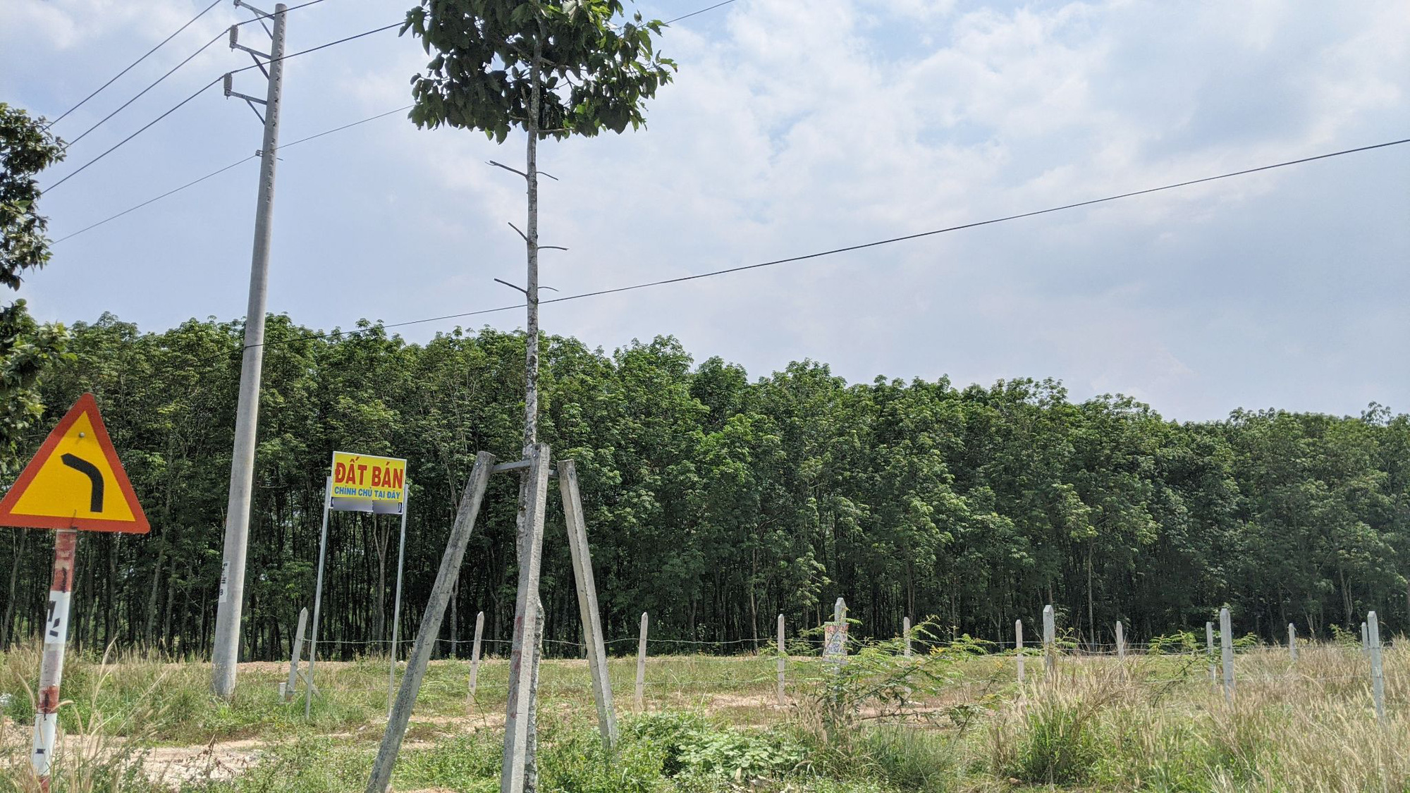 Giá đất farm ở Việt Nam có thực sự rẻ? - Ảnh 1.