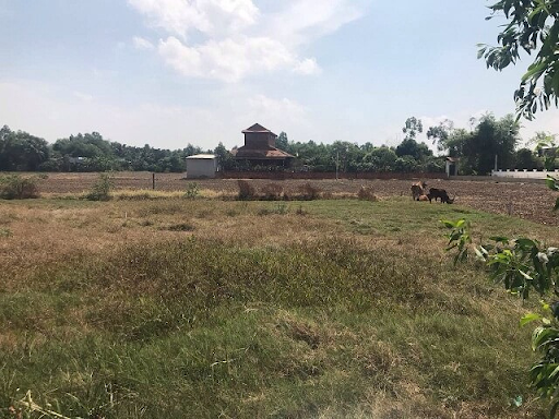 Thủ tướng cho phép Long An chuyển 37,95 ha đất trồng lúa sang đất phi nông nghiệp - Ảnh 1. Thủ tướng cho phép Long An chuyển 37,95 ha đất trồng lúa sang đất phi nông nghiệp - Ảnh 1.