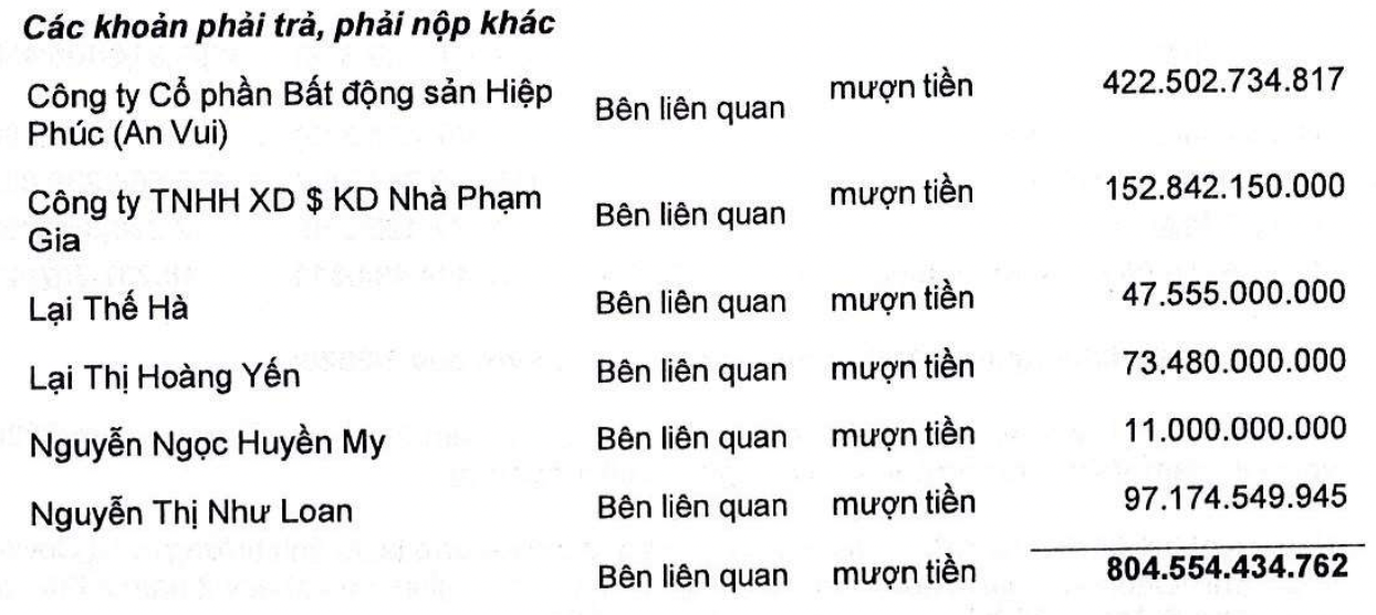 Quốc Cường Gia Lai kinh doanh ra sao sau giải thể công ty phụ trách dự án Phước Kiển? - Ảnh 1.