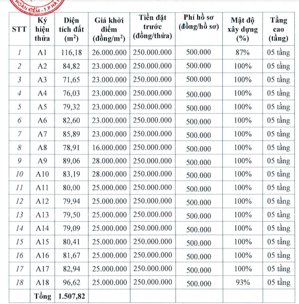 Đấu giá 18 thửa đất tại xã Tiên Dương, Đông Anh, khởi điểm từ 16 triệu đồng/m2 - Ảnh 2.