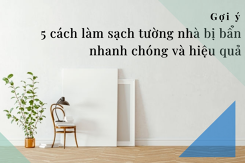 Gợi ý 5 cách làm sạch tường nhà bị bẩn nhanh chóng và hiệu quả