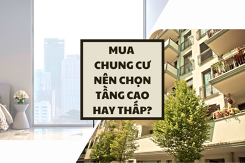 Mua chung cư nên chọn tầng cao hay thấp? Kinh nghiệm chọn tầng chung cư phù hợp nhất