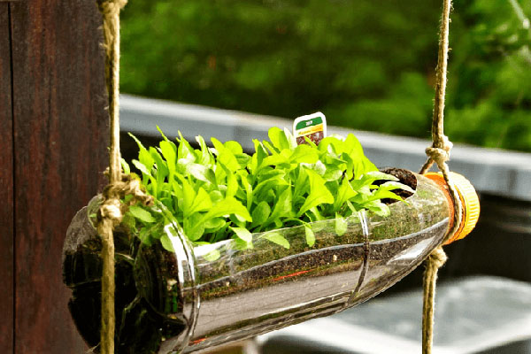 Gợi ý cách thiết kế vườn rau tại nhà cho không gian nhỏ, hạn chế đất trồng - Ảnh 2. Gợi ý cách thiết kế vườn rau tại nhà cho không gian nhỏ, hạn chế đất trồng - Ảnh 2.
