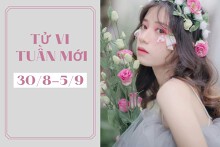 Tử vi tuần mới của 12 con giáp, 12 cung hoàng đạo (30/8-5/9): Sửu công việc phát triển tốt, Kim Ngưu gặp may