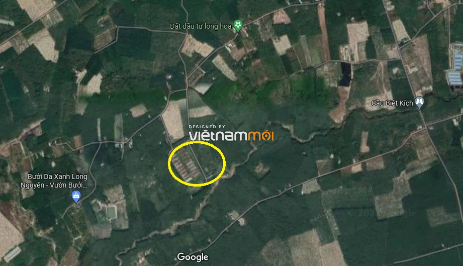 Đất có quy hoạch ở xã Long Hoà, huyện Dầu Tiếng, Bình Dương - Ảnh 4. Đất có quy hoạch ở xã Long Hoà, huyện Dầu Tiếng, Bình Dương - Ảnh 4.