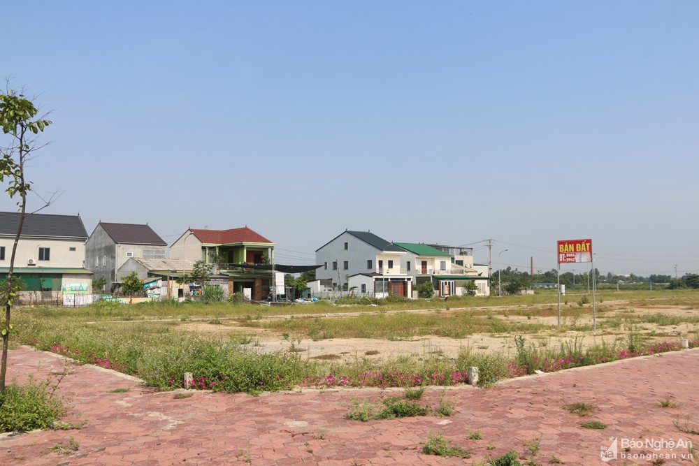 TP Vinh xây dựng 44 khu quy hoạch, tương đương 2.303 lô đất để bán đấu giá - Ảnh 1. TP Vinh xây dựng 44 khu quy hoạch, tương đương 2.303 lô đất để bán đấu giá - Ảnh 1.