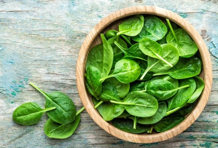 Top 10 loại thực phẩm giúp tăng cường sức đề kháng mùa dịch - Ảnh 6. Top 10 loại thực phẩm giúp tăng cường sức đề kháng mùa dịch - Ảnh 6.