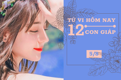 Tử vi hàng ngày hôm nay 5/8 của 12 con giáp: Tý chú ý sức khỏe, Mão có nhiều tin vui trong công việc