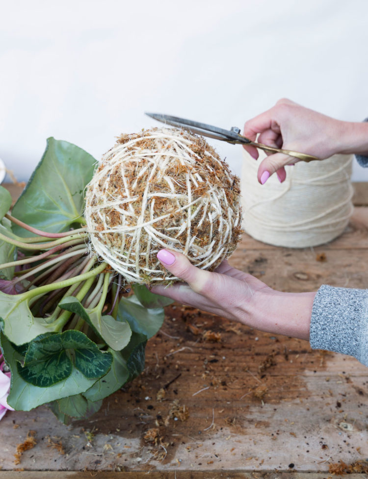 Phương pháp trồng cây không chậu Kokedama, ý tưởng mới lạ cho không gian nhà bạn - Ảnh 10. Phương pháp trồng cây không chậu Kokedama, ý tưởng mới lạ cho không gian nhà bạn - Ảnh 10.
