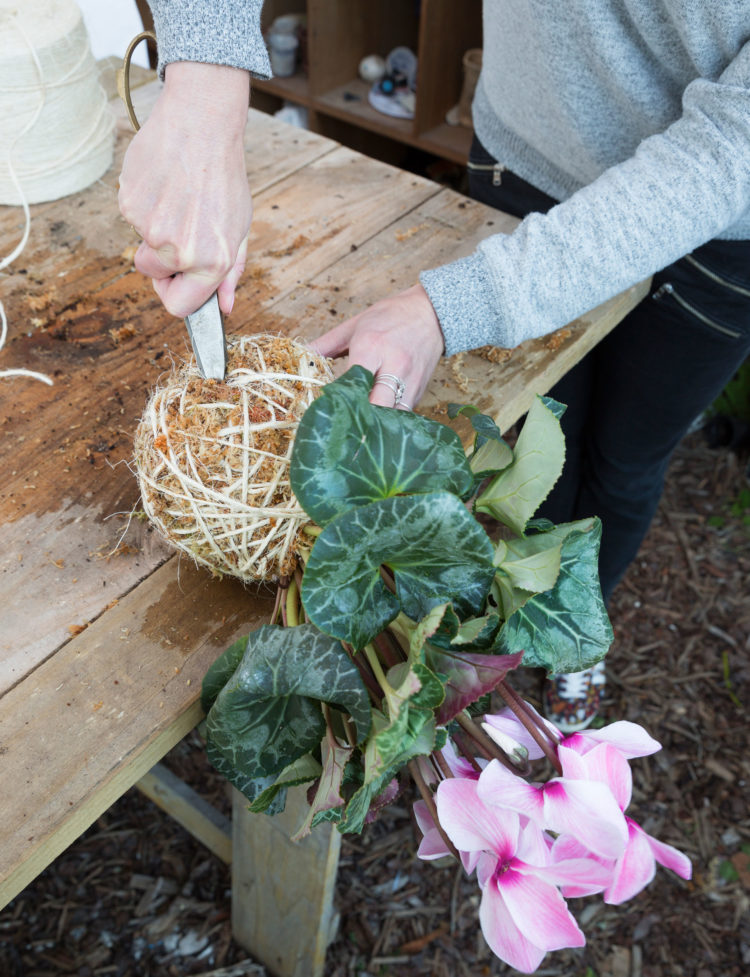 Phương pháp trồng cây không chậu Kokedama, ý tưởng mới lạ cho không gian nhà bạn - Ảnh 9. Phương pháp trồng cây không chậu Kokedama, ý tưởng mới lạ cho không gian nhà bạn - Ảnh 9.