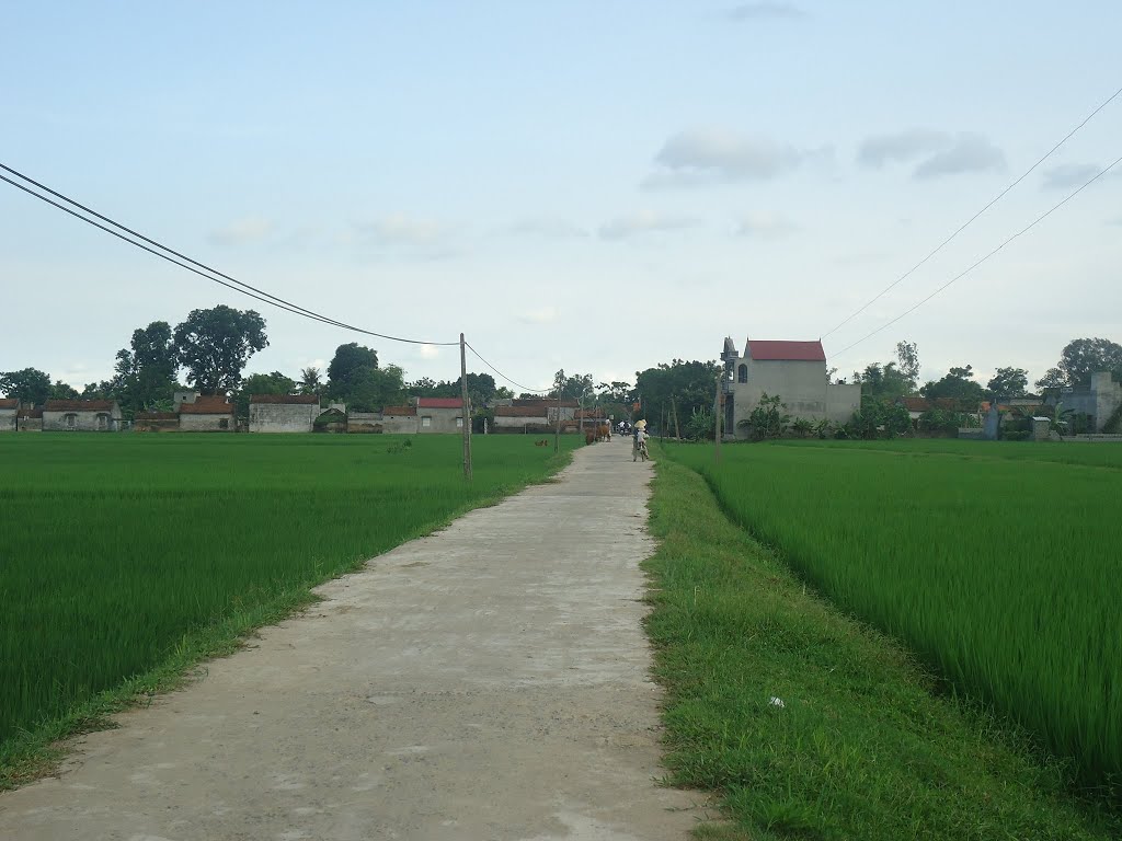 Kế hoạch sử dụng đất xã Thiệu Long, Thiệu Hoá, Thanh Hoá năm 2021 - Ảnh 1. Kế hoạch sử dụng đất xã Thiệu Long, Thiệu Hoá, Thanh Hoá năm 2021 - Ảnh 1.